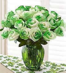 St Patrick S Day Roses Are The Perfect Gift For St Patrick S Day March Birthdays Or For Anyone Who S Proud To Be Flowers Birthday Flowers Beautiful Flowers