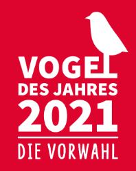 Seit 1980 sind fast 90 prozent ihrer bestände in deutschland verloren gegangen. Ihre Stimme Entscheidet Vorwahl Zum Vogel Des Jahres 2020 Nabu Frankfurt Am Main