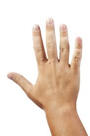 Check spelling or type a new query. Warts Wart Removal Wart Freeze Familydoctor Org