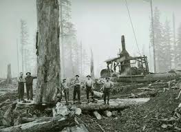 Kevin's logging a remote timber claim high up the steep, rugged slopes of klitsa mountain, deep in the majestic heart of vancouver island. 13 Ax Men 3 Rygard 3 Ideas Men A X Discovery Channel