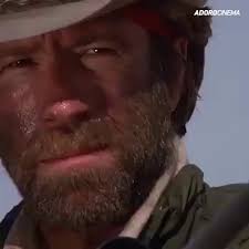 Legend Chuck Norris Funny Chuck Norris Chuck Norris Jokes
