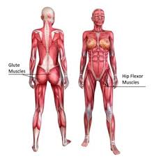 Another diagraming tool that can help you create er diagrams is gliffy. Achieving Gorgeous Glutes Exercises For Injuries