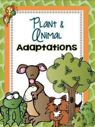 This is a very simple service with a managed camel component and a simple test route. Plant And Animal Adaptations Animal Adaptations Adaptations Activities Animal Adaptations Activities