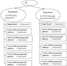 flow chart of the specimens grouping in the current paper