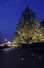 Adf0656353c9e913aeacb708f83f25fe Jpg 766 1181 Landscape Lighting Urban Lighting Park Lighting