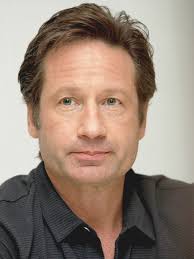 Fiche descriptive, programmes tv avec david duchovny. David Duchovny Allocine