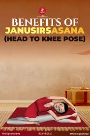 Benefits Of Janusirsasana Head To Knee Pose In 2020 Easy Yoga Workouts Learn Yoga Learn Yoga Poses