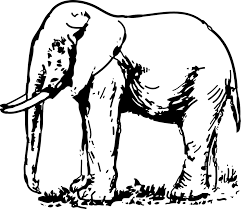 Sketsa gajah, gajah, gambar, karbon, pensil, lukisan, hitam dan putih,. Gajah Satwa Mamalia Gambar Vektor Gratis Di Pixabay