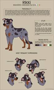 Rikki Character Sheet By Faithandfreedom Dog Design Art Canine Art Cartoon Dog
