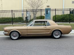 Image result for Samoan Bronze 1965 Cadillac