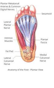 Pin On Kinesiology Tape Foot