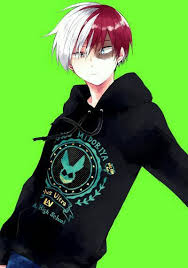 My Hero Academia My Hero Academia Memes My Hero Academia Shouto Hero