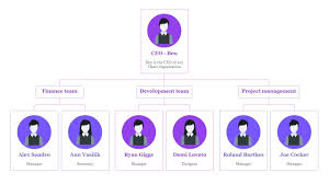 So, we compiled a list of free frontend templates that we thought are beautiful and worth sharing. Organization Chart Wordpress Plugin Wordpress Org