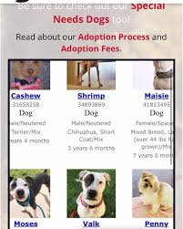Our centers feature adoptable pets from local animal welfare groups. Maxfund No Kill Animal Shelter And Adoption Center Home Facebook