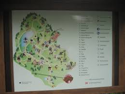 It has about 500 animals of 80 different species. Boras Zoo Map Zoochat