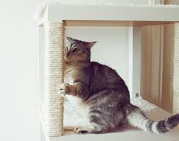 Un Arbre A Chat Ikea Diy Arbre A Chat Jeux Pour Chat Chat