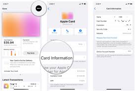 Open the wallet app, scan your card with the camera, then follow your bank's instruction. How To Add Your Apple Card To Your Amazon Account Imore