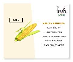 Pin On Freshii Tiffin Delivery Service In Pune