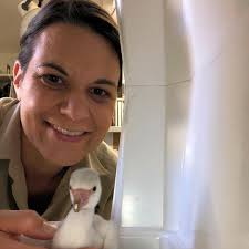 Flavia Parotti is a Lead Zookeeper and Registered Veterinary Technician at  the Charles Paddock Zoo in Atascadero, CA. She explains, "Because I work at  a smaller Zoo, I am able to multitask