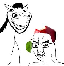 images?q=tbn:ANd9GcTVeFYMMhzcuasWWl0y2DojOEk4nJq1RbCwJA&s