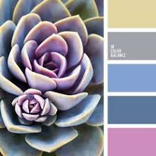 Nature inspires us in all sorts of ways. 110 Color Flower Palettes Ideas In 2021 Color Colour Schemes Color Pallets