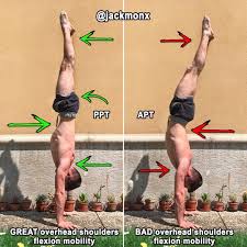Handstand Exercises Exercise Yoga Muscles Handstand