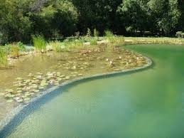 Inviting Natural Pools Natural Pool Natural Swimming Ponds Natural Swimming Pools