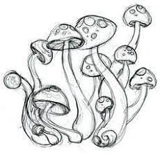 Psychedelic Mushrooms 2 By Morebannanas On Deviantart Pencildrawings Pencil Drawings Of Mushrooms Psychedeli Psychedelic Drawings Hippie Art Hippie Painting