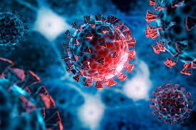 New antibodies show potential to neutralize virus that causes COVID-19 |  Stanford Report