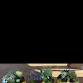 Pumpkin Succulent event image