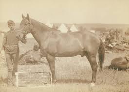 Hot dogs, burgers, sandwiches $ Who Was Sole Survivor Of Custer S Last Stand News Wilsonpost Com