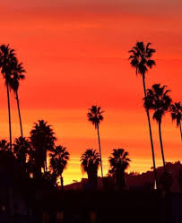 Black And Orange Wallpaper Aesthetic Pin By Isabelle Mathews On Aesthetically Speaking Orange Aesthetic Orange Wallpaper Rainbow Aesthetic