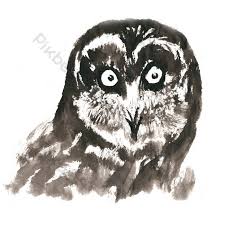 Kumpulan gambar bunga mawar yang indah dan menawan. Lukisan Tinta Kepala Burung Hantu Png Percuma Elemen Grafik Psd Percuma Muat Turun Pikbest