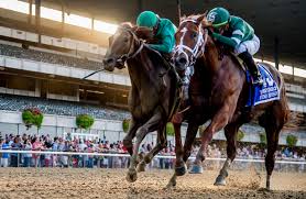 Free Breeders Cup Classic 2019 Past Performances Now Available