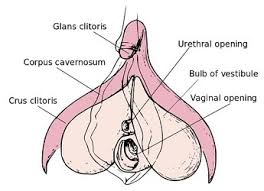 Elle fait partie, au même titre que le missionnaire ou l'amazone, des grands classiques du kamasutra. Levrette Tout Ce Que Vous Devez Savoir Sur Cette Position Qui Plait Tant