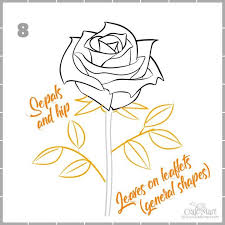 How To Draw A Rose Step By Step Guide For Beginners Craft Mart Rose Outline Drawing Flower Drawing Tutorials Roses Drawing If you don't have a green thumb, you can still create a rose on paper.