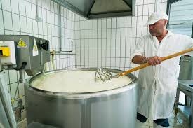 Beginner Cheese Maker Faq | Cheese Making Supply Co.