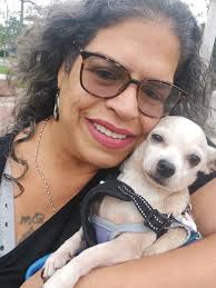 Chihuahua owners introduce their pets