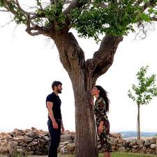 Dilek Agaci Reymir Hercai Hercai Reyyan Miran Reyyansadoglu Miranaslanbey Mardin Reymir Ebrusahin Soyut Fotografcilik Fotografcilik Soyut