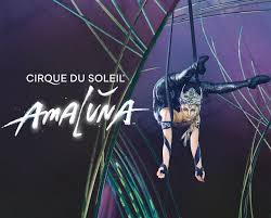 15 Off Cirque Du Soleils Amaluna