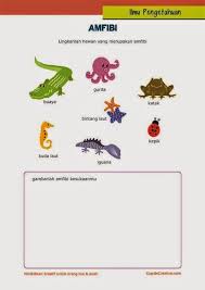 Kapal laut alqur anmulia laman 2. Download Bermacam Contoh Gambar Mewarna Iguana Yang Awesome Dan Boleh Di Muat Turun Dengan Cepat Gambar Mewarna