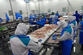 Apakah kamu ingin menjadi pns dan sedang mempersiapkan berbagai hal yang dibutuhkan untuk bisa lolos? Ekspor Tilapia Asal Jateng Meningkat Ekonomi Bisnis Com