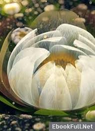 Thiên sơn tuyết liên phân bố ở các vùng urumqi, bokedashan, heshuo trên dãy thiên sơn và trên cao nguyên thanh tạng. Ebook Thien SÆ¡n Tuyáº¿t Lien Tieu Tá»­ Linh Tá»›i ChÆ°Æ¡ng 15 Táº£i Full Prc Mobi Epub Pdf