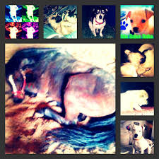 Emma provost (@emmaprovost2)