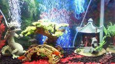 Enliven your aquarium with some cool fish tank decorations. Asian Fish Tank Decorations Fish Tank Decorations Fish Tank Fish Tank Themes