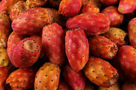 Riche en fibre, le nopal entraîne un effet de. Les Bienfaits Cosmetiques De L Huile De Graines De Figue De Barbarie