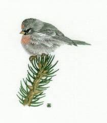 Thread Painting And Silk Shading Embroidery Techniques And Projects Needle Painting Or Thread Painting Hand Embroidery Kits Of Birds Silk Shading Silk Embroidery An Thread Painting Crewel Embroidery Hand Embroidery Kits