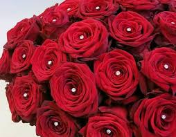 Maybe you would like to learn more about one of these? San Diego Wholesale Flowers Bouquets Home Facebook