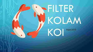 Murah Meriah Ini Urutan Media Filter Di Chamber Kolam Koi Kigoi