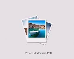 Free Polaroid Mockup Psd Vector Chameleon Mockup Mockup Psd Polaroid